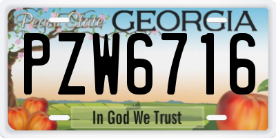 GA license plate PZW6716