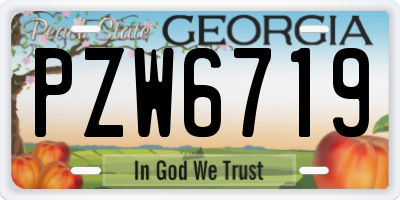 GA license plate PZW6719