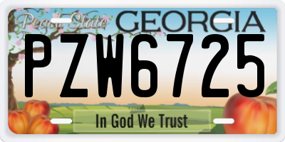 GA license plate PZW6725