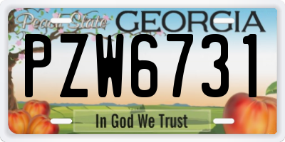 GA license plate PZW6731