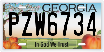 GA license plate PZW6734