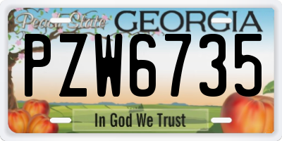 GA license plate PZW6735