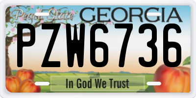 GA license plate PZW6736