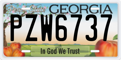 GA license plate PZW6737
