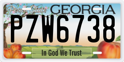 GA license plate PZW6738