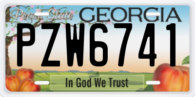 GA license plate PZW6741