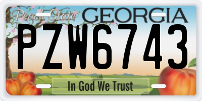 GA license plate PZW6743