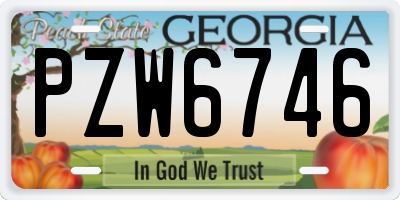 GA license plate PZW6746