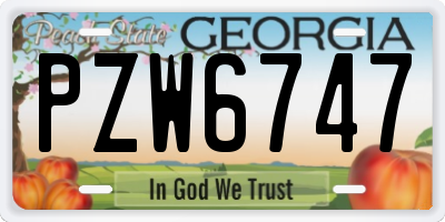 GA license plate PZW6747