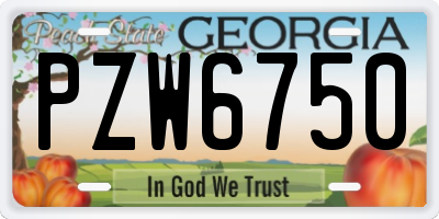 GA license plate PZW6750
