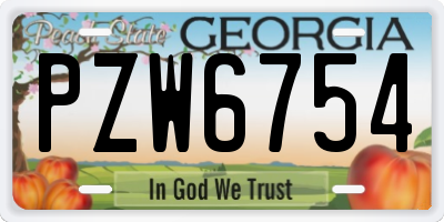 GA license plate PZW6754