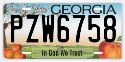 GA license plate PZW6758