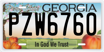 GA license plate PZW6760