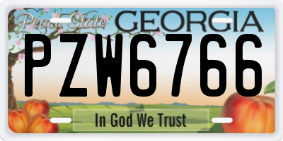 GA license plate PZW6766