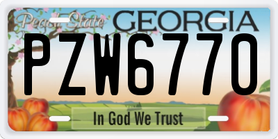 GA license plate PZW6770