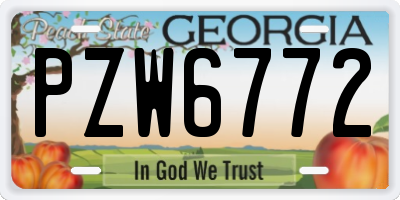 GA license plate PZW6772