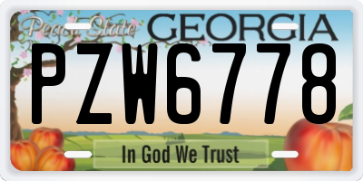 GA license plate PZW6778