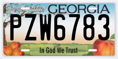 GA license plate PZW6783