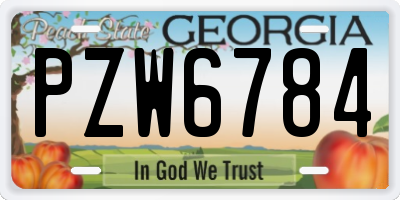 GA license plate PZW6784