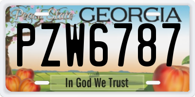 GA license plate PZW6787