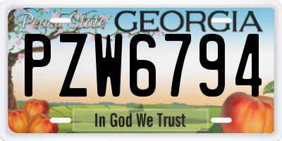 GA license plate PZW6794