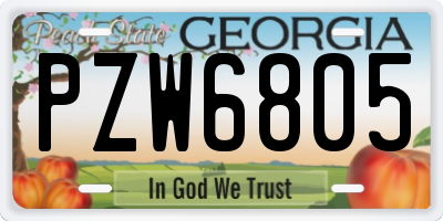 GA license plate PZW6805