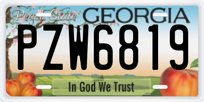 GA license plate PZW6819