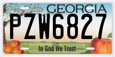 GA license plate PZW6827
