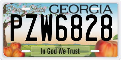 GA license plate PZW6828