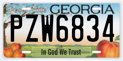 GA license plate PZW6834