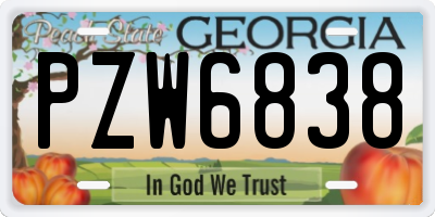 GA license plate PZW6838