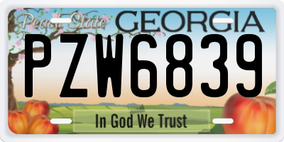 GA license plate PZW6839