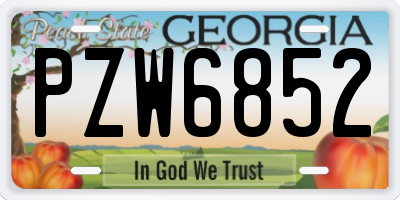 GA license plate PZW6852