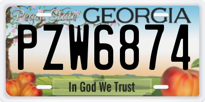 GA license plate PZW6874