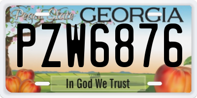 GA license plate PZW6876