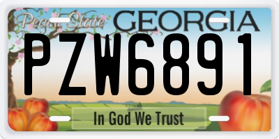 GA license plate PZW6891