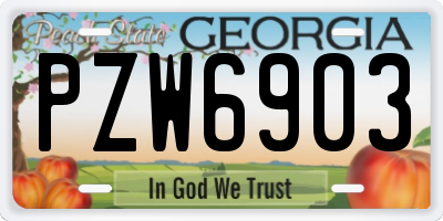 GA license plate PZW6903