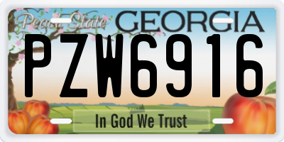 GA license plate PZW6916