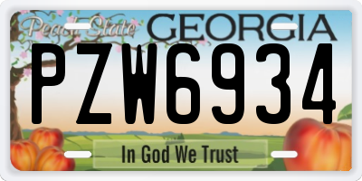 GA license plate PZW6934