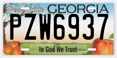 GA license plate PZW6937