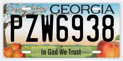 GA license plate PZW6938