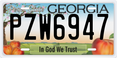 GA license plate PZW6947