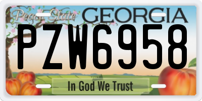 GA license plate PZW6958