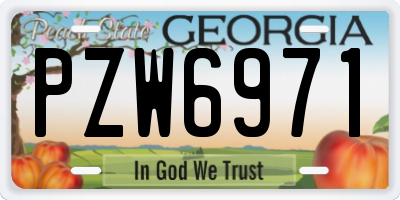GA license plate PZW6971