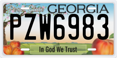 GA license plate PZW6983