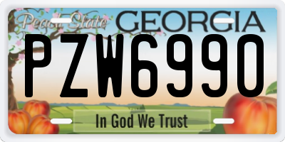 GA license plate PZW6990