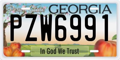 GA license plate PZW6991