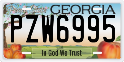 GA license plate PZW6995