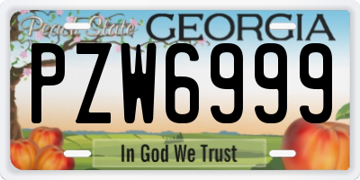 GA license plate PZW6999