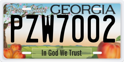 GA license plate PZW7002